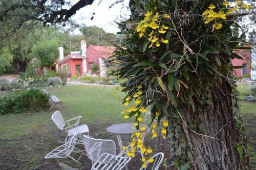 Posada Hoster�a Bello Horizonte