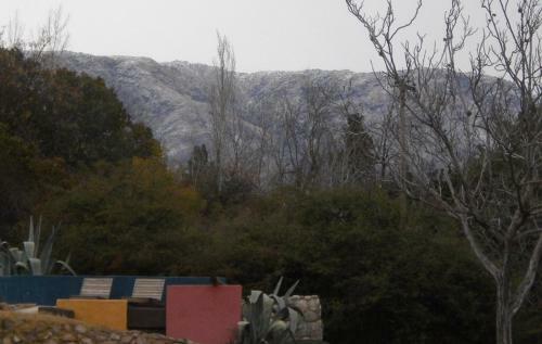 Lodge Domus-san Javier