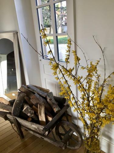 Suite de Charme Bed N Breakfast Tr�s Proche Lyon