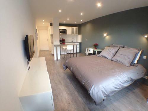 Apartamento Studio Flambant Neuf, Calme & Balcon