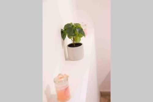 Apartamento La Cour Du Faubourg 1 (lcdf1)