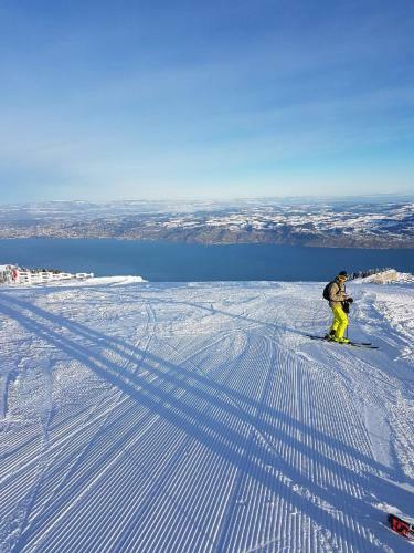 Apartamento Le Telemark