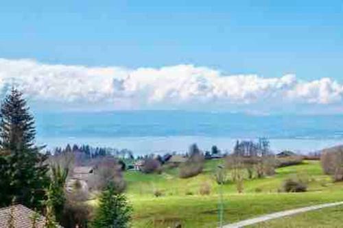 Apartamento Duplex En Station Vue Sur Lac Leman