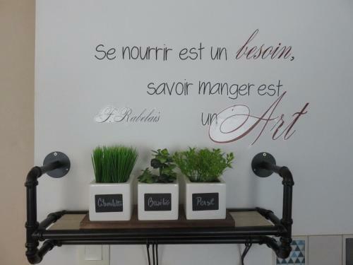 Apartamento Grand Appartement Chaleureux