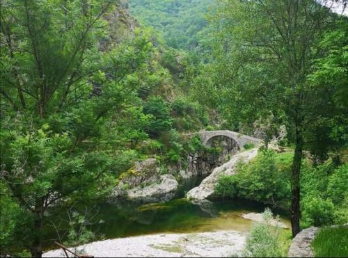 Chez Tatie Guyl�ne