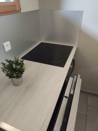 Apartamento Appartement Du Parc Des Thermes