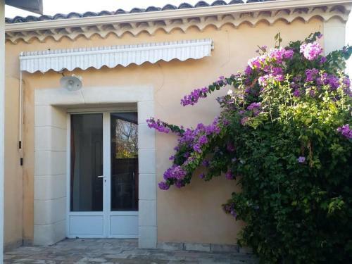La Bodega, Petite Vigneronne Pleine De Charme