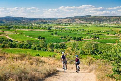 La Bodega, Petite Vigneronne Pleine De Charme