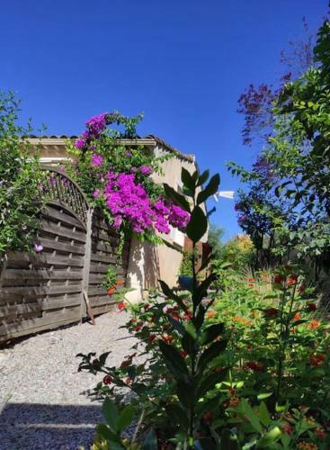 La Bodega, Petite Vigneronne Pleine De Charme