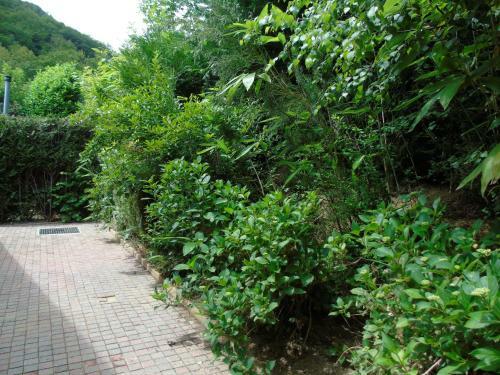 Maison L'hirondelle Rustique � Tournavaux