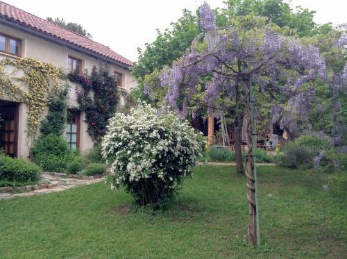 Hostal Paysannerie Des Versanes - Chambres Et G�te