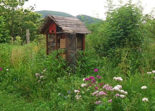 Hostal Paysannerie Des Versanes - Chambres Et G�te