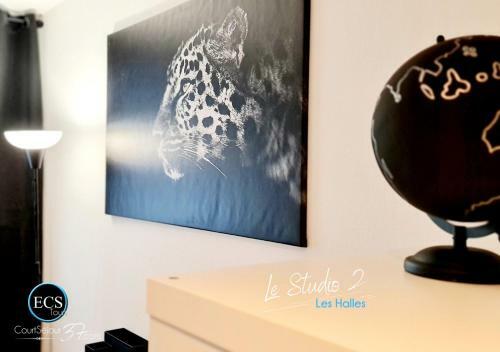Apartamento Le Safari - Parking - Supertours - Arriv�e Autonome