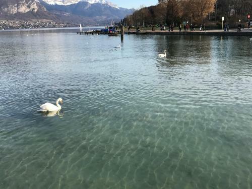 Apartamento Appartement Tout Confort Ugine