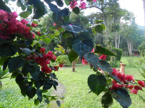 Hostal Pousada Recanto Do Pinheir�o