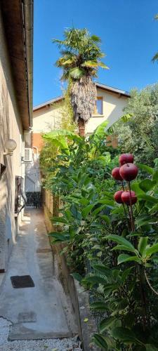 Apartamento Studio Simone - Terrasse Et Jardin - Tv - Wifi