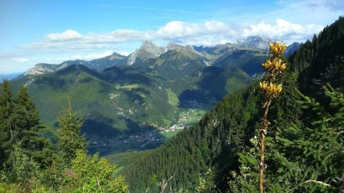 Hostal Atelier Des Sapins Blancs (Chambre Double)