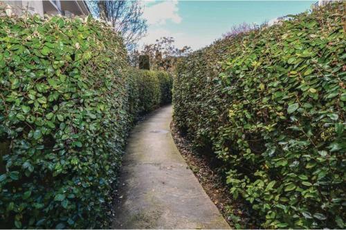 Apartamento Appartement Des Amoureux