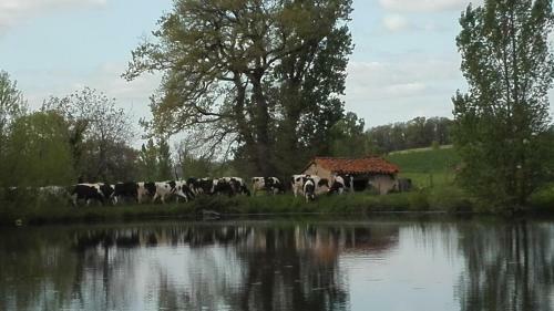 Agroturismo Charmante Maison � La Ferme