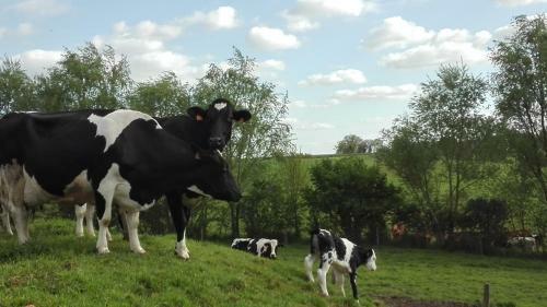 Agroturismo Charmante Maison � La Ferme