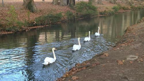 Le Pr� Aux Cigales