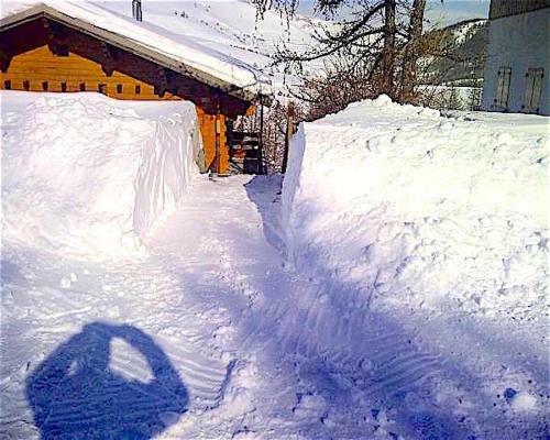 Haut De Chalet L'entasse N�9