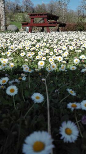 Village De G�tes 3 �toiles - Cantal Emotions