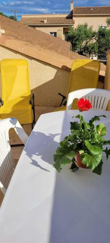 Apartamento Appart Agr�able Et Confortable Et Spacieux