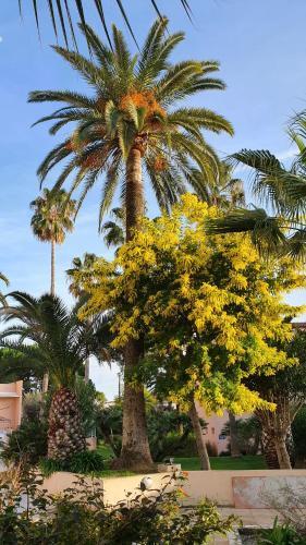 Apartamento Appartamento Vista Splendida Residence Du Golf