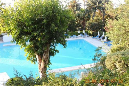 Apartamento Studio Standing Vue Mer 2 Pers. 5 Min.cannes