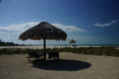 Aparthotel Guesthouse Holbox Apartments & Suites