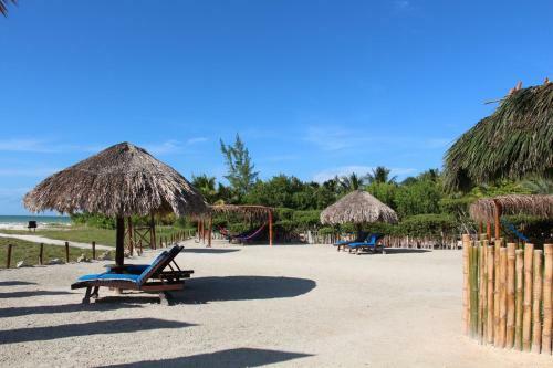 Aparthotel Guesthouse Holbox Apartments & Suites
