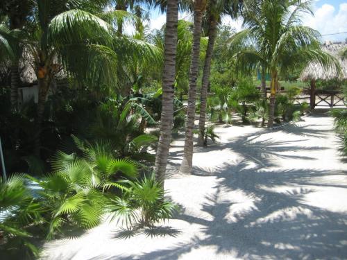 Aparthotel Guesthouse Holbox Apartments & Suites