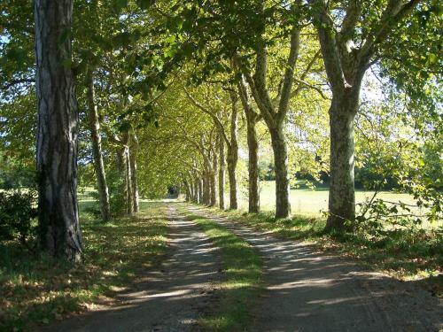 Bed & Breakfast Domaine De Las Planques