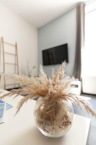 Apartamentos Charme Cosy Confort - Thermes