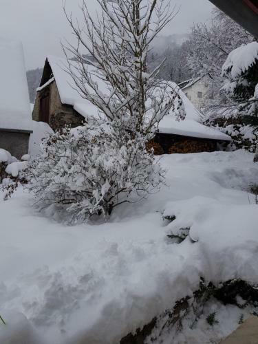 Apartamento St Lary-vignec Charmant Studio Au Calme