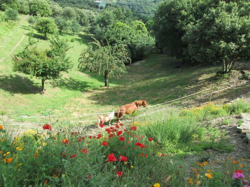 Apartamento Gite Avec Piscine Et Spa Pres de Carcassonne