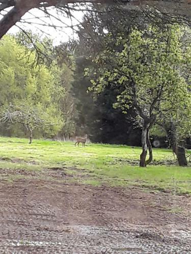 Bed & Breakfast Maison D'h�tes Labastide