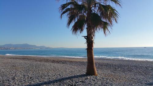 Apartamento R�sidence Cap Azur Appartement 217