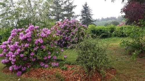 Bed & Breakfast Le Clos Des �cureuils