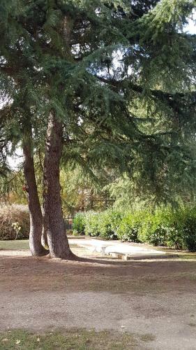 Bed & Breakfast Le Clos Des �cureuils