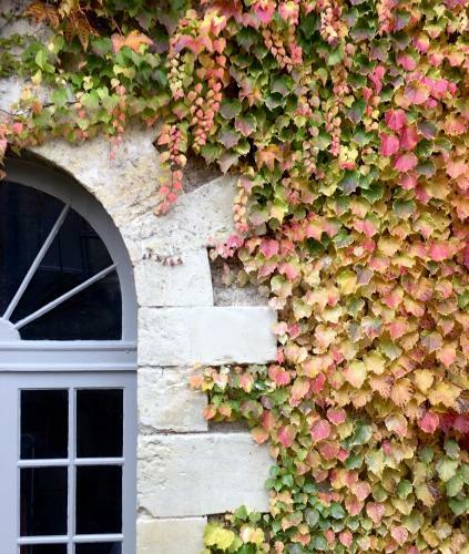 Hostal Le Gaimont Maison D'h�tes Vouvray