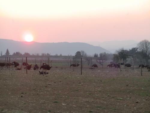 Agroturismo Les Roulottes De La Ferme De L'autruche Dromoise