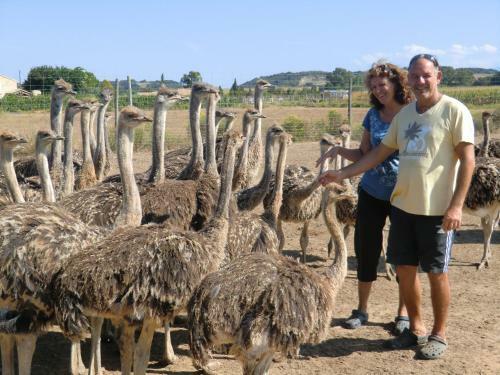 Agroturismo Les Roulottes De La Ferme De L'autruche Dromoise