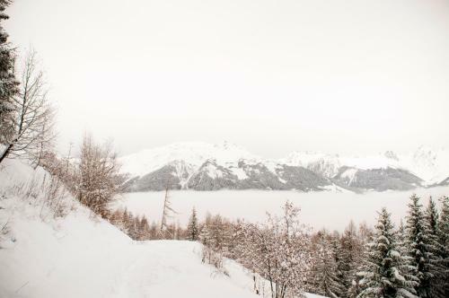 Your Apartment Near The Ski Lift