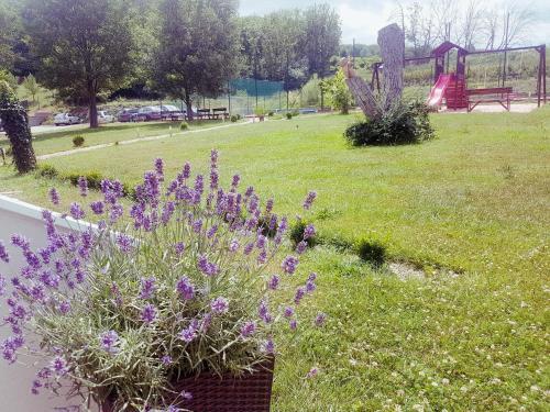 Hostal Penzion Proneco