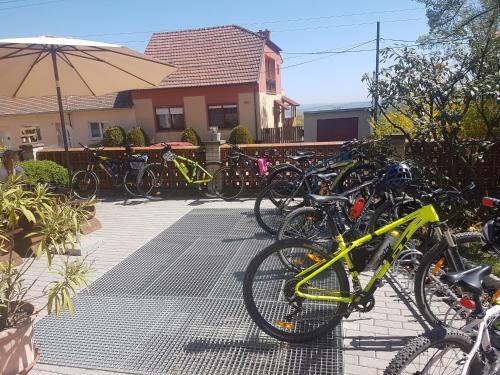 Hostal Penzion Proneco