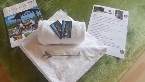 Hostal Penzion Proneco