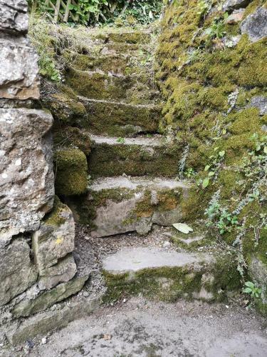 Maison Atypique � Cordes-sur-ciel 2 Chambres