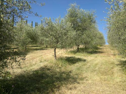 Agroturismo Agriturismo Miscianello